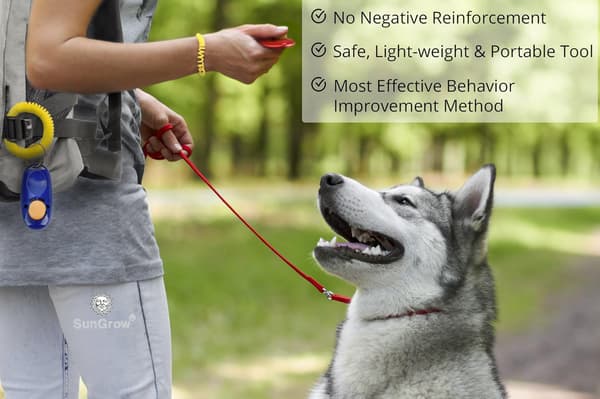 7 Dog Clickers with Wrist Strap, 5 cm, Colorful and Practical, Si