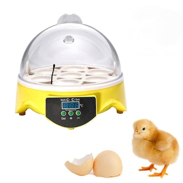 Automatisk Fjærkre 7 Egg Inkubator Temperaturkontroll - Perfekt