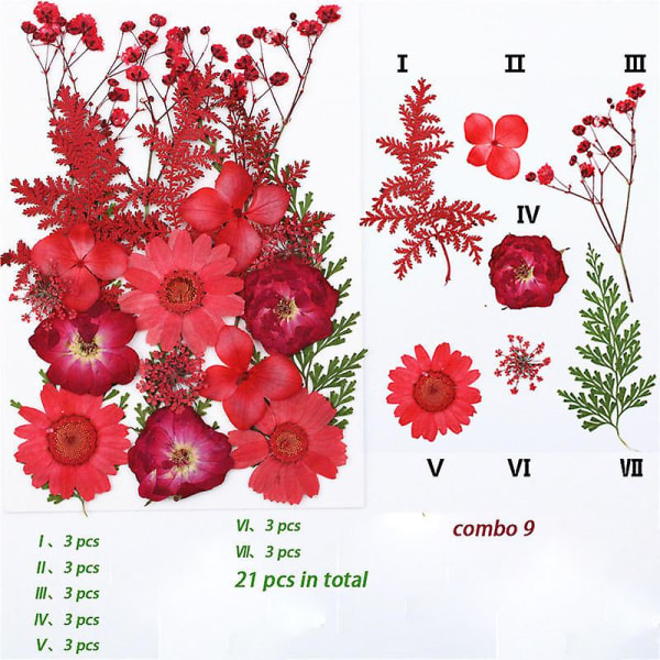 Blandade torrpressade blommor, torkade naturliga blommor för hartshantverk, form och nail art COMBO 6