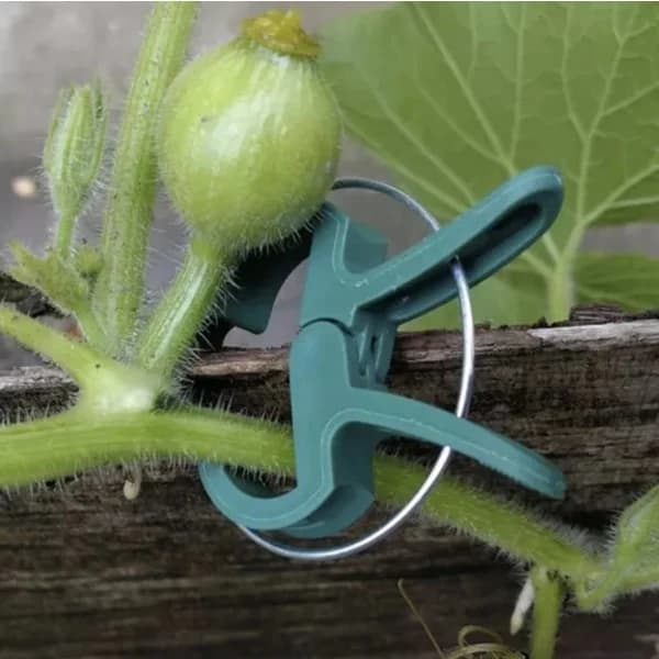Planteklemmer / Clips - 108 stk-FA- big