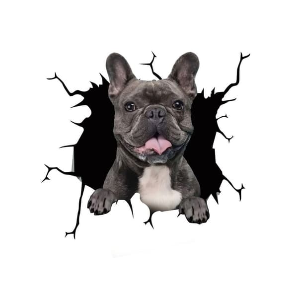 TS-Bildekal - Glad Fransk Bulldog