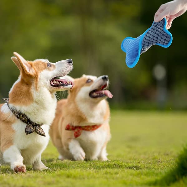 Dog Toy, Corn Kernel Chew Resistant Bone Shaped Dog Squeaky Toy, Interactive Dog Bone for Small and Medium Dogs (Blue)