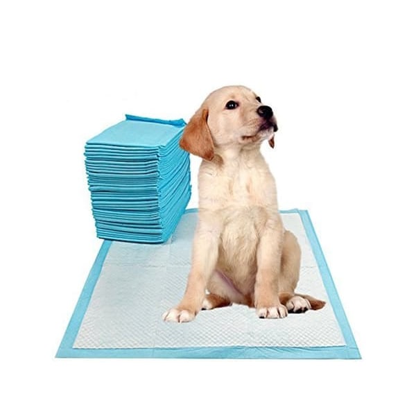 40 st Hygienunderlägg / Kissmatta för Hund / Valpmatta - 60x60 cm