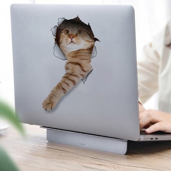 TS-Bildekal - Katt som sträcker ut tassen