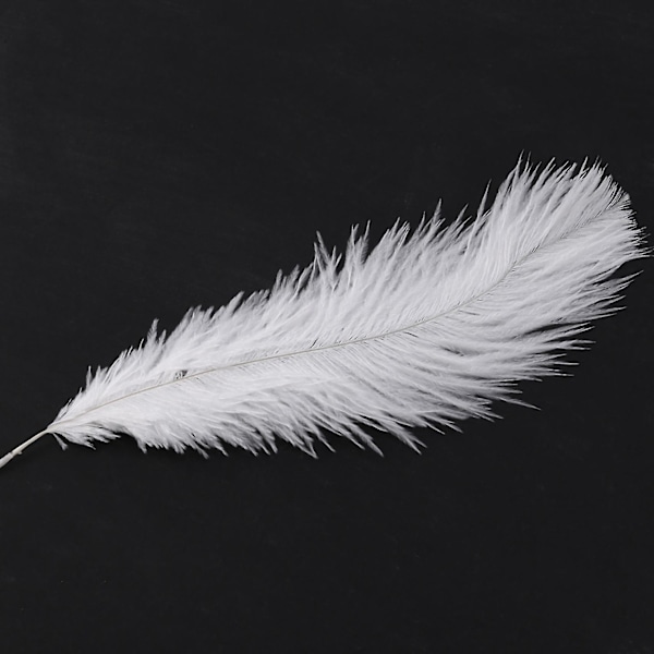 TS-10 Stykker Hvide Naturlige Strudsefjer 20-25cm Bryllup Diy