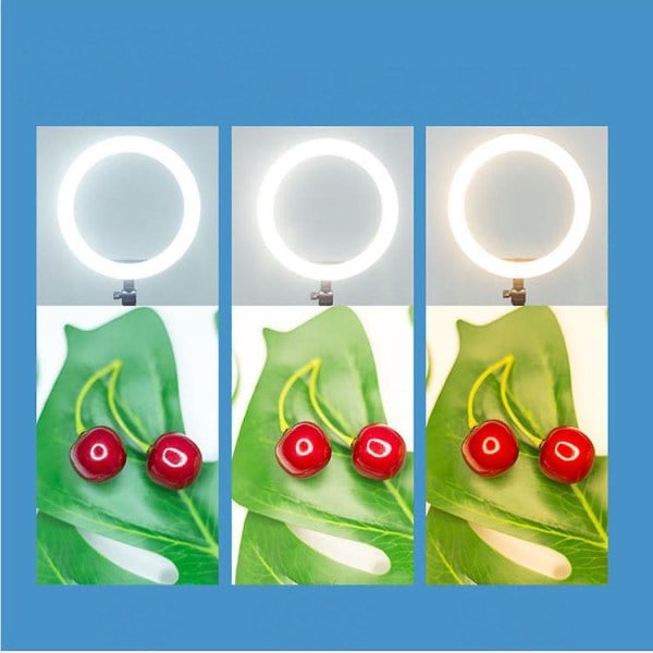 26cm Live Streaming Fyllyslampe LED Fotofyllyslampe (FMY)