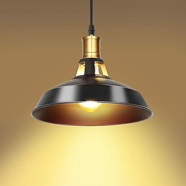 Industriell taklampa, E27 vintage takljuskrona i metall, diameter: 27 cm, justerbar kabellängd, retro lampa armatur för vardagsrum, säng