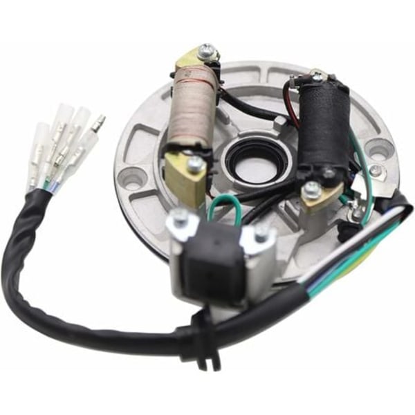 TS-2-Spole Magneto stator Udskiftning til 50 CC 70 CC 90 CC 110 CC 125 CC Kick Start ATV Dirt Bike og Go Kart