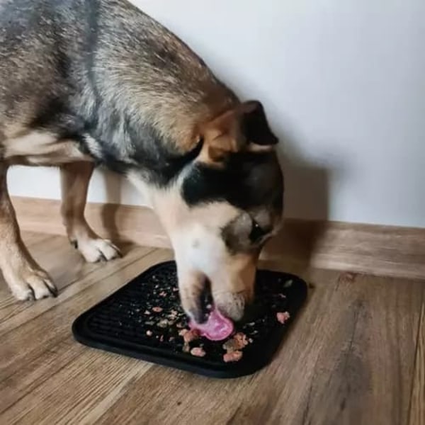 Slow Feeder Bricka för Hund & Katt - Ät Långsammare