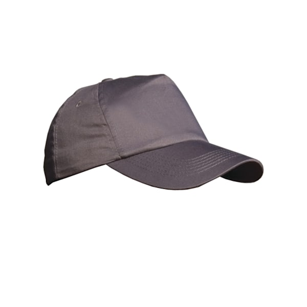Result Unisex Enfärgad Baseballkeps (2-pack) One Size Grå Grey One Size