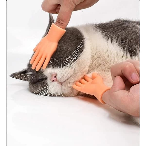 Söta mini kattborstar för kinden