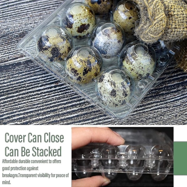 100 stk 12 Ruters Vaktel-eggeske Gjenbrukbare Vaktel-eggkartonger Eggoppbevaringsboks Transparent Kjøleskap Oppbevaringsboks Mini Eggdispenser med Lokk for Kjøleskap