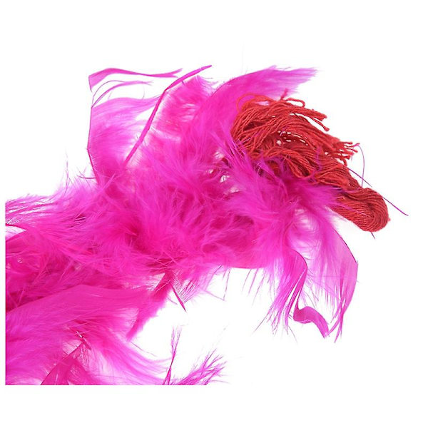 TS-2 stk. 2m Fjerboa Fluffy Håndværk Kostume Udklædning Bryllupsfest Hjemmeindretning (hot Pink & Pink)