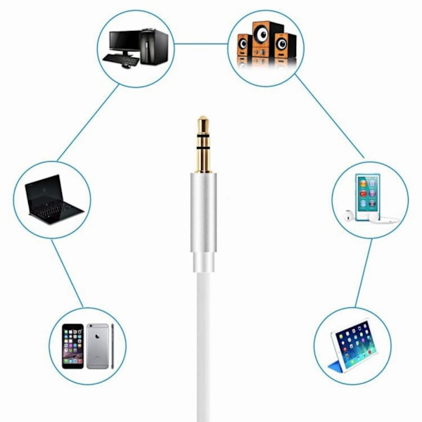 1M Lightning - AUX 3.5mm Kaapel Adapteri Autoon Hopea