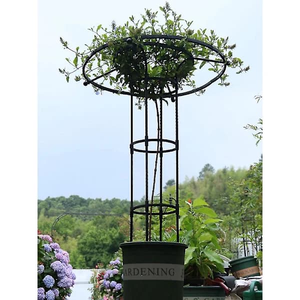 Trädgårdsspaljé för klätterväxter och blommor, metallspaljé för utomhusbruk snngv