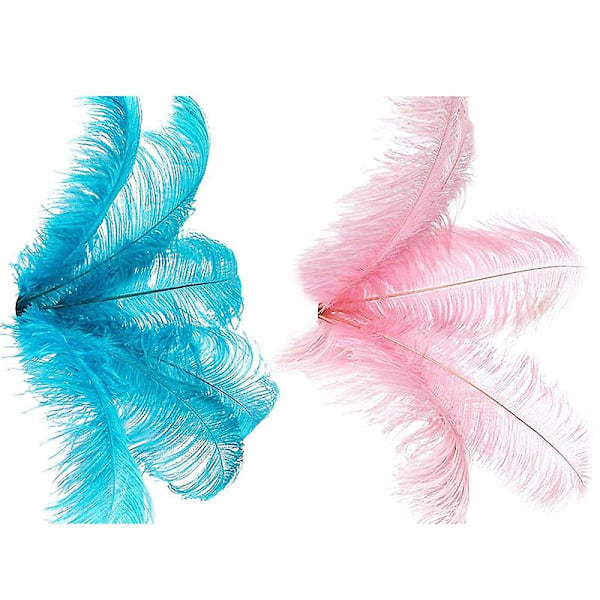 TS-20 stk. Naturlige Strudsefjer Bryllupsfest Dekoration Sø 20-25cm Blå & Pink