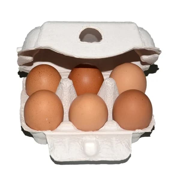 Egg Carton, Stackable Pulp Paper Egg Tray, Egg Holder for Refrigerator Storage, Kitchen, Retailers, Shipping, 10 Pack, 10.5x7.5x6cm
