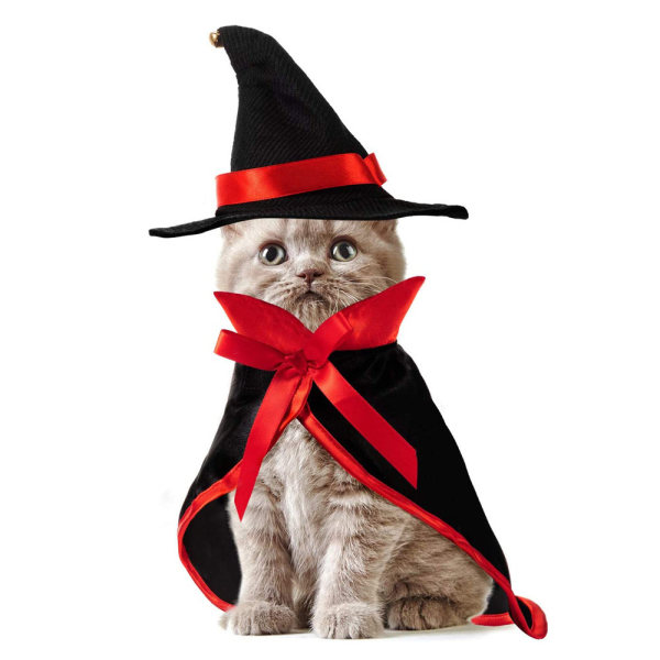 Husdjur Halloween kostymer Katt Valp Wizard Outfits