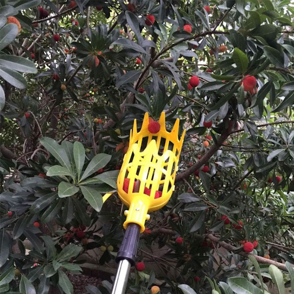 Fruktplockarhuvud i plast Fruktplockarkorg Fruktplockare Extremt lätt att montera för hem, fruktträdgård, park, gård