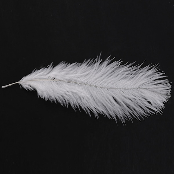 TS-10 Stykker Hvide Naturlige Strudsefjer 20-25cm Bryllup Diy