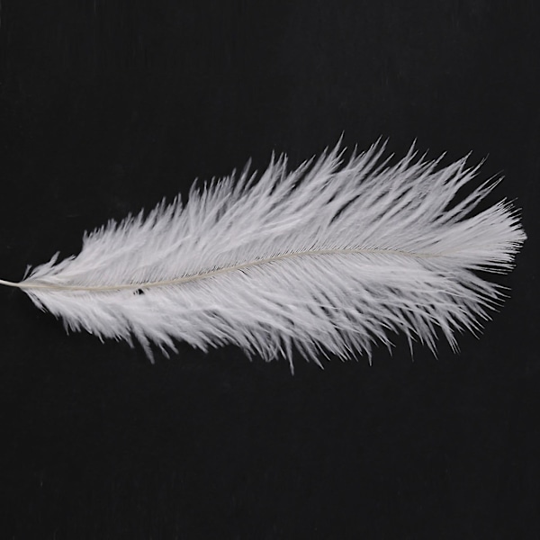 TS-20 Stykker Hvide Naturlige Strudsefjer 20-25cm Bryllup DIY