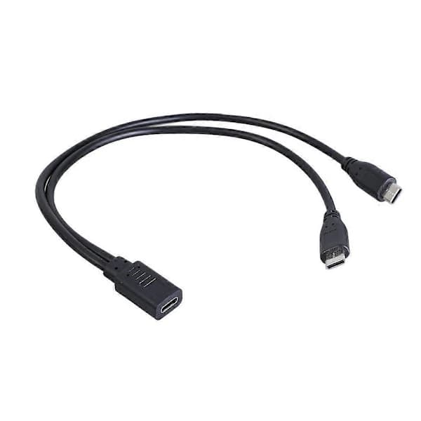 Portable Type C Female to Dual Type C Male Y-Cable Type C Extension Splitter