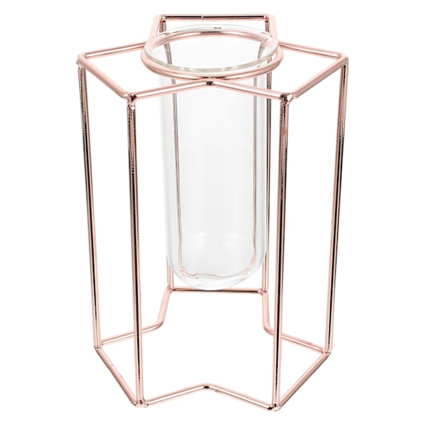 1 st Hydroponiskt Glasrör med Järnstativ, Roséguld