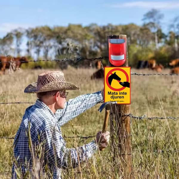 Do Not Feed The Animals - Warning Sign - Sign