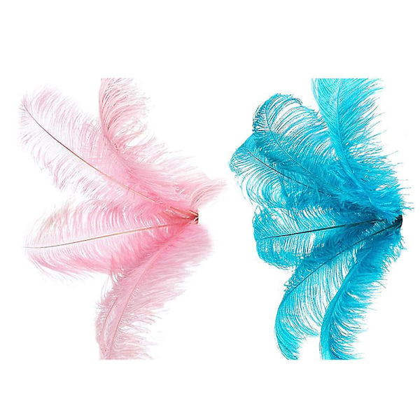 TS-20 stk. Naturlige Strudsefjer Bryllupsfest Dekoration Sø 20-25cm Blå & Pink
