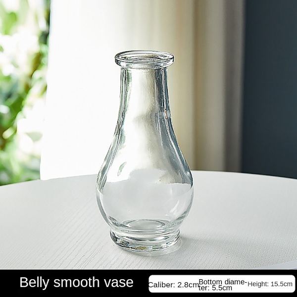 Glasvas Hydroponisk Växtvas J J