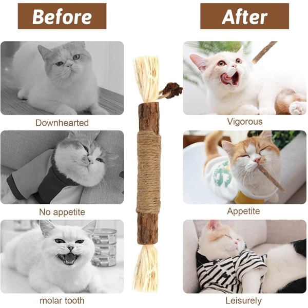 Katt tuggleksaker, naturliga katt tuggleksaker för tänder, tandrengöring, innekatt tuggleksaker med kattmynta