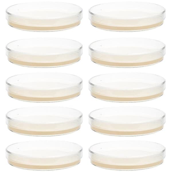 10 ferdigfylte agarplater petriskåler med agar vitenskapseksperiment tilbehør