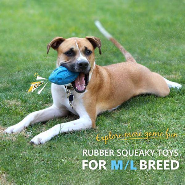 Squeaky Dog Toys for Aggressive Chewers: Rubber Puppy Ball with Squeaker