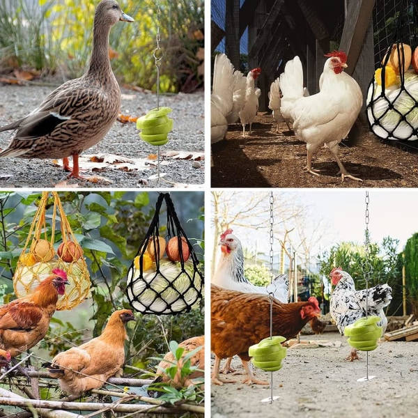 Ocean 4-pack nät för kycklingfoder, nät för kycklingfoder, hängande nät, papegojmatspett i rostfritt stål, för höns, fåglar