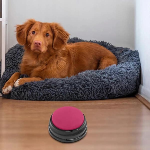 {PL}2x Opptakbar Lydknapp Avspilling Hund