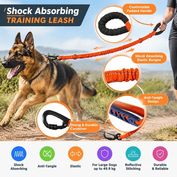 Hundetræningssnor, elastisk stødabsorberende og anti-sammenfiltring, 1,9 m, til store hunde op til 49,9 kg, orange