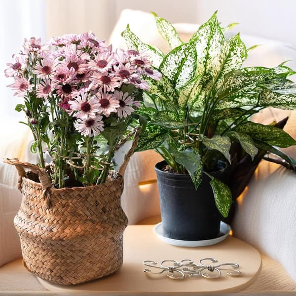 Växtstöd - Monstera växtstöd i järn, justerbart - för klätterväxter - 11*11 cm - Guld