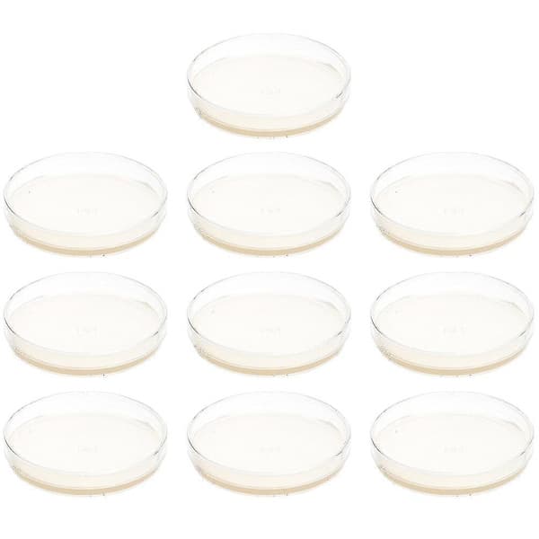 10 ferdigfylte agarplater petriskåler med agar vitenskapseksperiment tilbehør