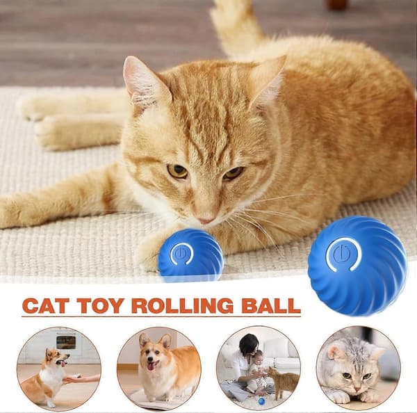 Self-rolling ball for dogs, smart self-propelled ball with 2 modes, long battery life, intelligent teasing ball for cats with replaceable shell
