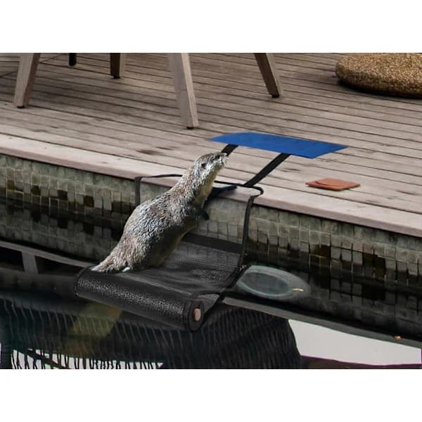 {PL}2 ST Dyreredningsrampe Flydende Dyreredder til Pool