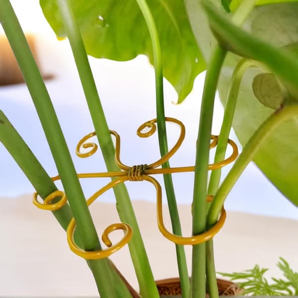 Växtstöd - Monstera växtstöd i järn, justerbart - för klätterväxter - 11*11 cm - Guld