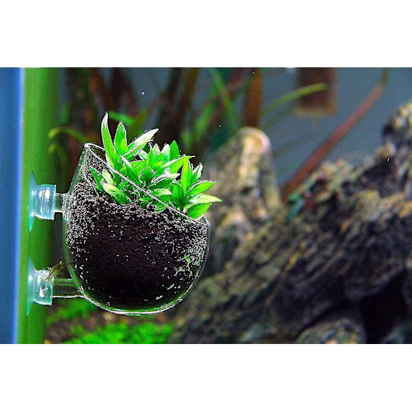 4 stk. Akvarieplanteholder Plantepotte Akvariedekor Krystallglass Akvatisk Plantekopp Med Sugekopper For Fisketank Aquascape