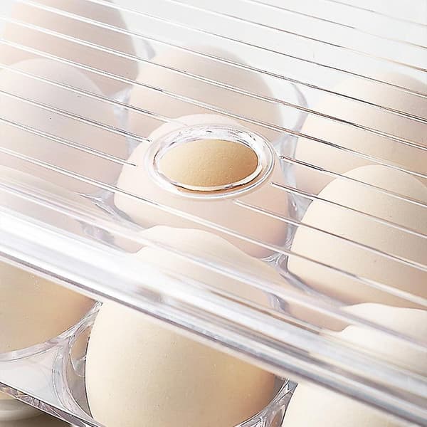 Eggstativ Oppbevaringsboks Med Håndtak Og Lopp, Rommer 16 Egg