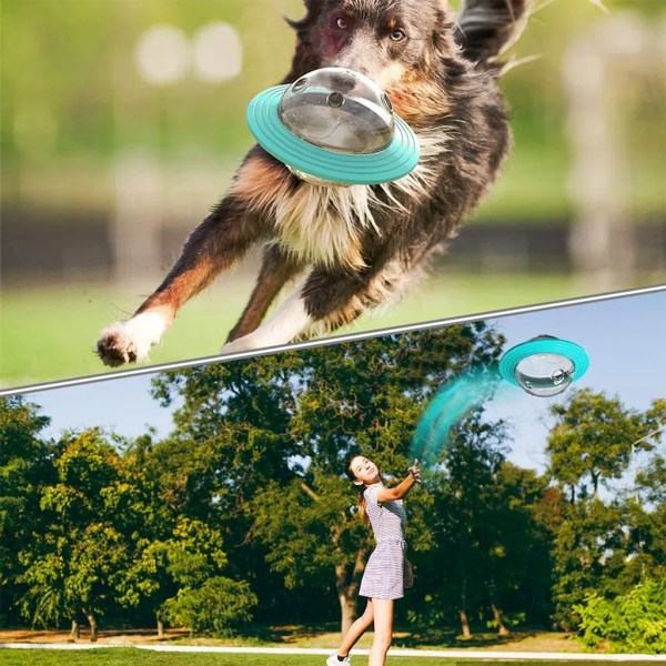 Utbildande Hundmatare - Interaktivt Hundleksak Blå