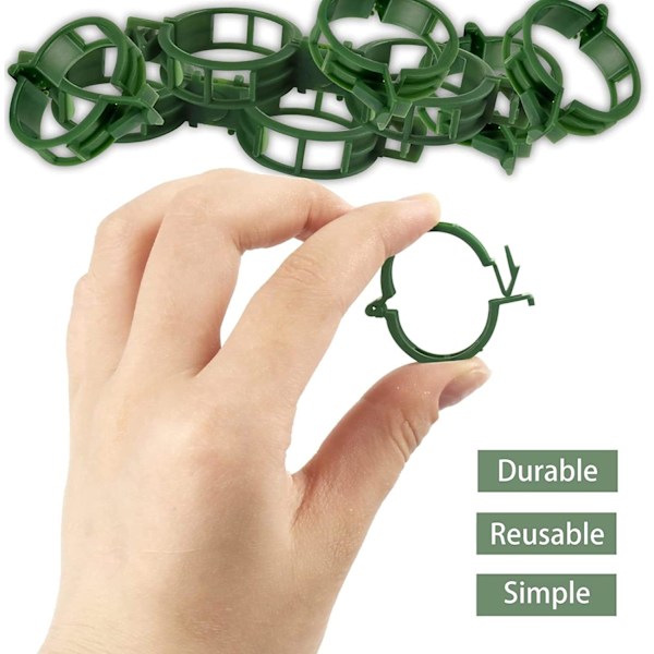 200 stk. Plantestøtteclips Haveplast Tomatclips til Klatreplanter, Vinstokke, Blomster, Grøntsager, Stængler, Bure, Snorforbindelser (Grøn)