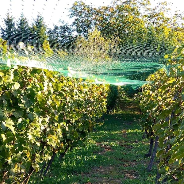 Bird Netting, 4 x 15 m, for Gardens, Trees, Fruit, Vegetables and Ponds.