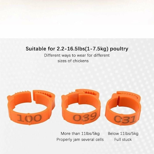 Hönfotsringar för vuxen fjäderfä, Clip-on typ ring som säkerställer enkel identifiering med numrerade plastfågelbensband för kycklingar, ankor och höns