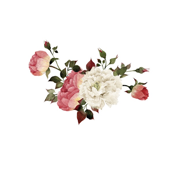 Blommiga väggdekorer, Pionblommor Väggdekaler, Färgglada Pionros Väggmålningar, Pion Väggaffischer, Avtagbar Peel and Stick Blommig tapet