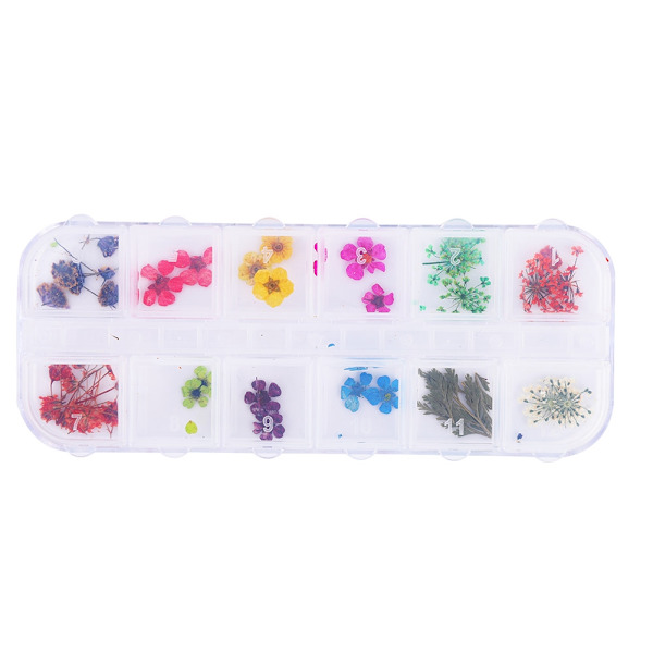 12 farger naturlige tørkede blomster for akryl UV-gel neglekunst tips design etui DIY dekor C