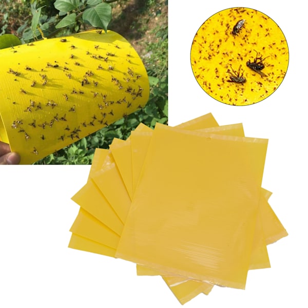 Vattentäta Flugfällor, Mångsidig Växtskadedjursbekämpning För Professionell Design, Giftfri Insektsfångare Ljusgul Lim Fångar Svamp Bananflugor Vita